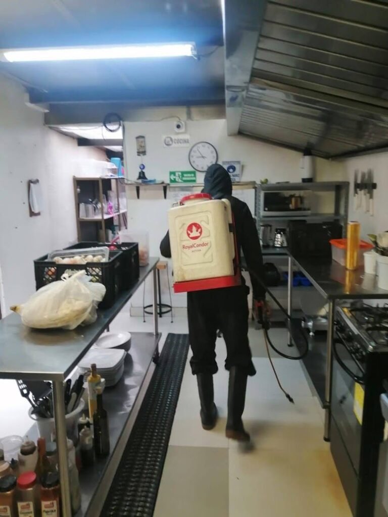 Fumigación de la cocina de un restaurante en Bogotá